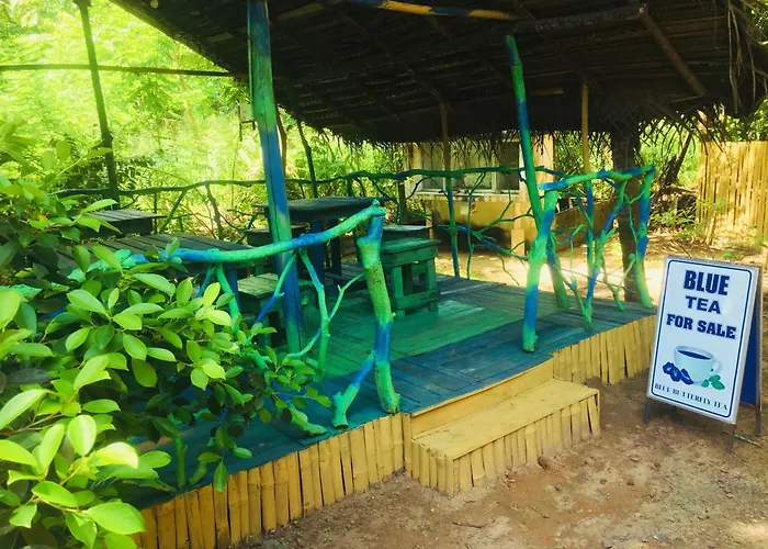 Seasons Four Eco Friendly Treehouse