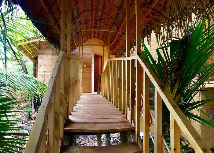 Seasons Four Eco Friendly Treehouse