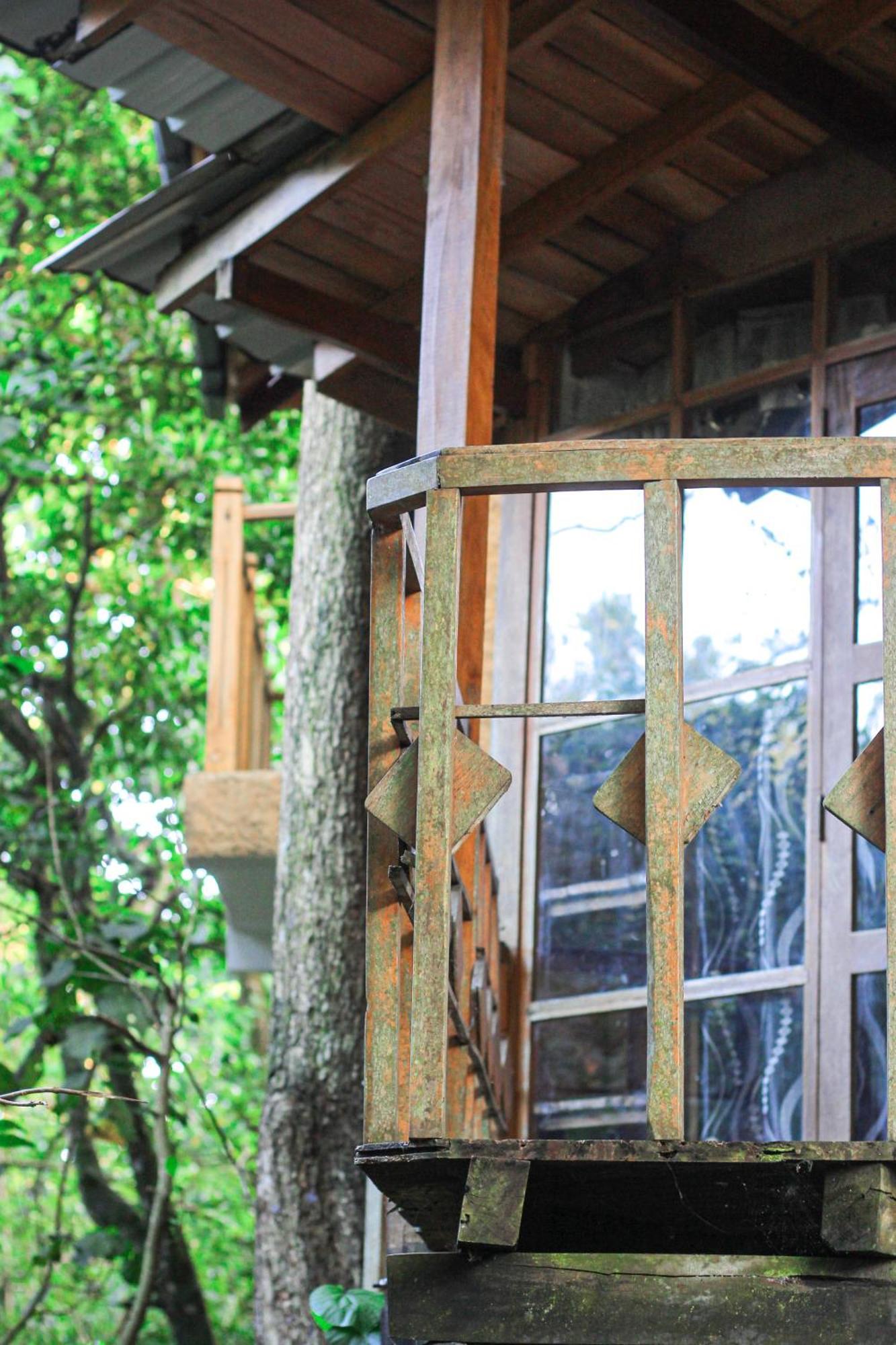 Seasons Four Eco Friendly Treehouse *