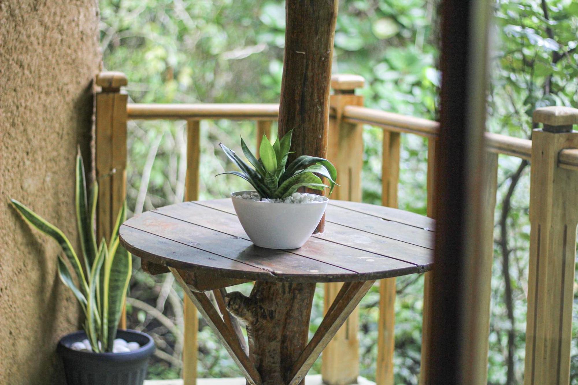 Landhaus Seasons Four Eco Friendly Treehouse *